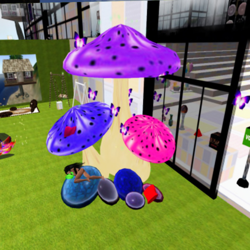 Boxed Toadstool Fairy Garden