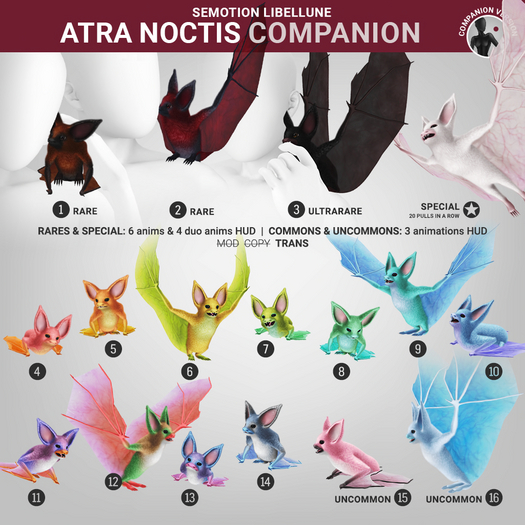 SEmotion Libellune Atra Noctis Companion COMMON 12