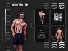 The Still Authority Bento Pack of 4 poses [MMG]