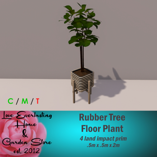 LE ~ Rubber Tree Floor Plant