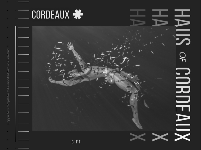 The Form Bento Set Pack of 3 poses [Falling] *Gift*