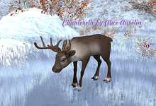 Mutresse-Angry-Funky Reindeers
