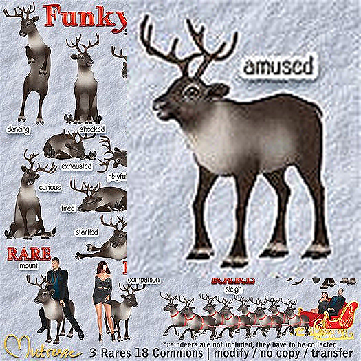 08 Mutresse-Amused-Funky Reindeers