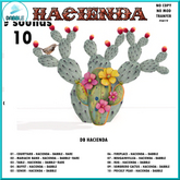 09 - SOMBRERO CACTUS - HACIENDA - DABBLE