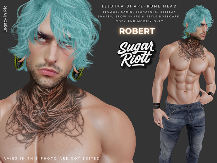 *Sugar Riott* Robert Shape - Lelutka Rune Head