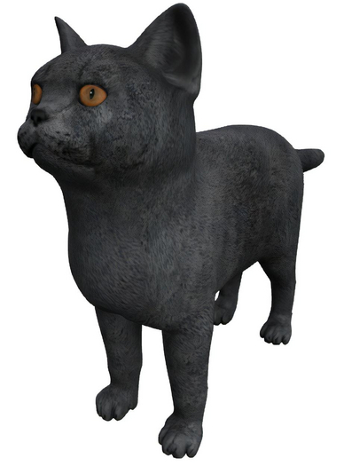 [VORTEX]Mesh Black Cat FULLPERM