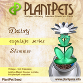 PlantPet Seed [Daisy *Shimmer*] Rare Elite Vintage