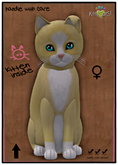 KittyCatS Box - Chateau Cat - Sunshine Puff No. 1 female♀