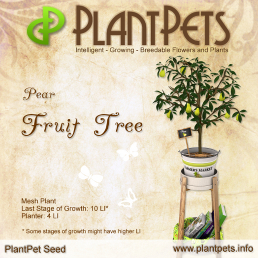 PlantPet Seed [Fruit Tree *Pear*] RARE