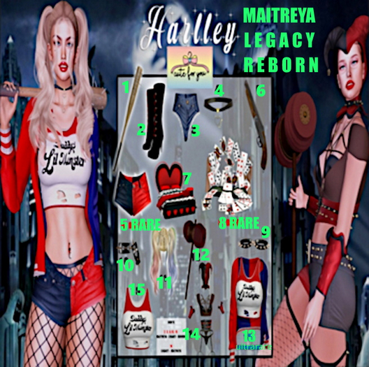 14 -HALLEY  LEGACY
