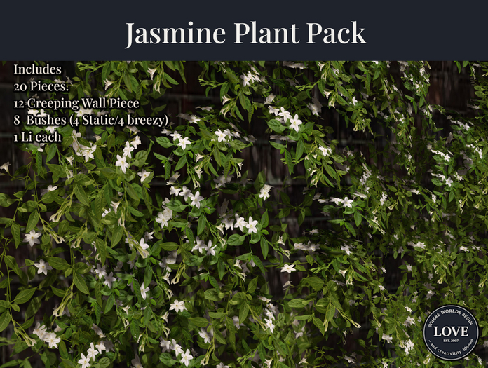 LOVE - JASMINE PLANT PACK 