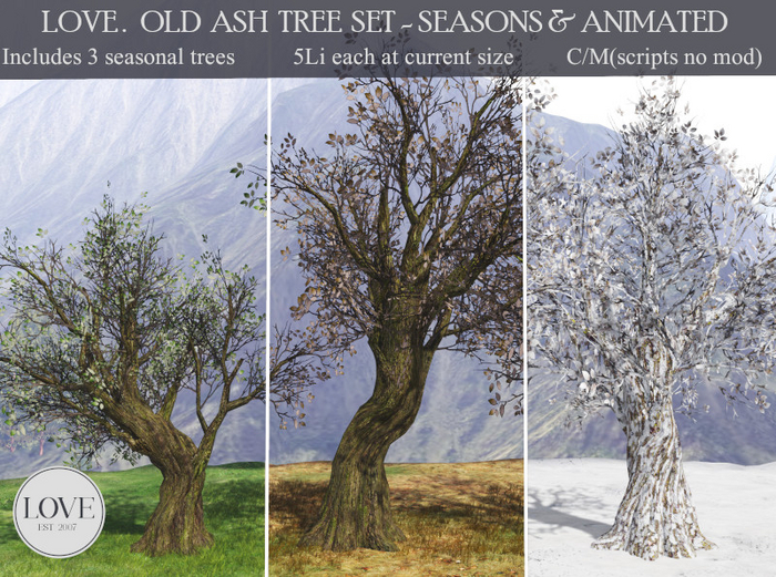LOVE - OLD ASH TREE SET 
