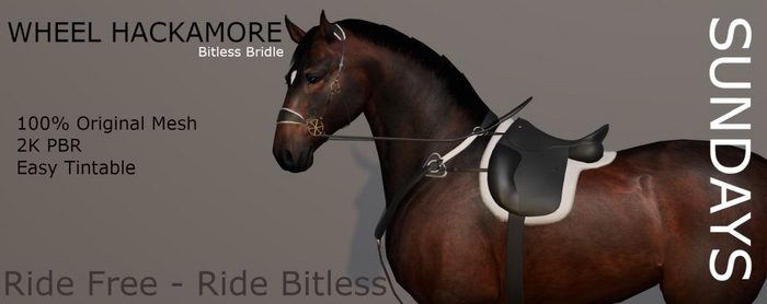 SundayS / Wheel Hackamore / Marwari