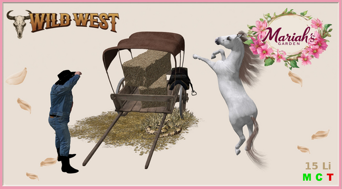 !MG! - Wild West - Help a Snake - Boxed