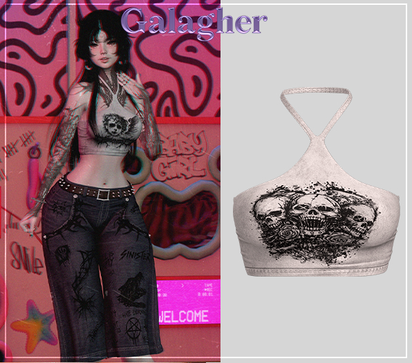 Galagher - Raven Top Edition 8