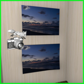 Foxtography- Twilight Beach - Canvas&Poster (boxed)