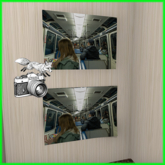 Foxtography- Transit - Canvas&Poster (boxed)
