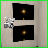 Foxtography- Sunburst - Canvas&Poster (boxed)