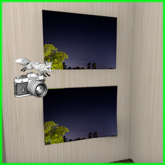 Foxtography- Neowise - Canvas&Poster (boxed)