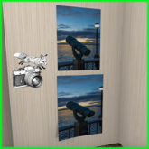Foxtography- Looking Glass - Canvas&Poster (boxed)