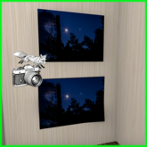 Foxtography- FATPACK 1 - Canvas&Poster (boxed)