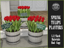 TULIPS - SPRING FLOWERS