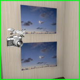 Foxtography- Dreamland - Canvas&Poster (boxed)