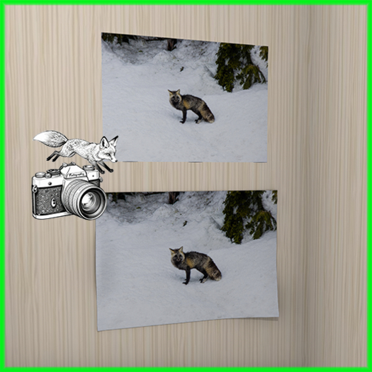 Foxtography- Cascadia Red 2- Canvas&Poster (boxed)