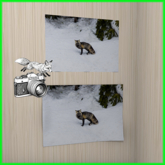 Foxtography- Cascadia Red 2- Canvas&Poster (boxed)