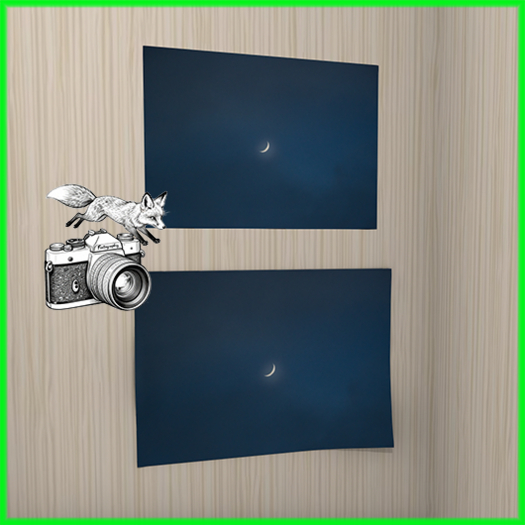 Foxtography- Blue Moon - Canvas&Poster (boxed)
