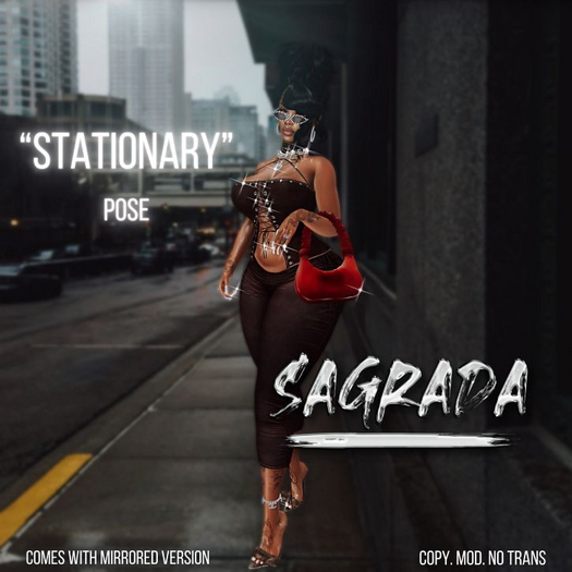 [sagrada.] STATIONARY Pose