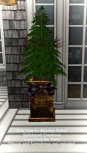 Pine Tree In Wooden Stand