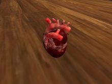 TM Human Heart - FP - Full Permissions