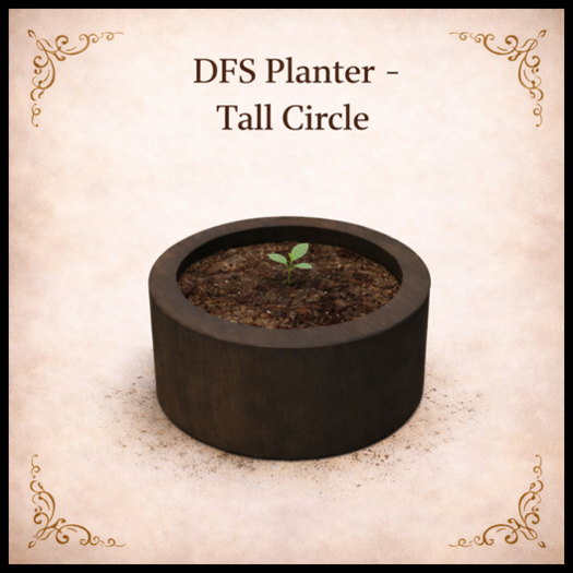 DFS Planter - Tall Circle - ACTUAL ITEM
