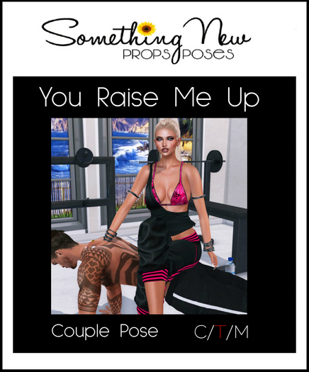 **SN~ You Raise Me Up