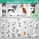 SEmotion Libellune Welsh Corgi Holdable SPECIAL
