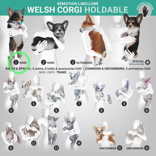 SEmotion Libellune Welsh Corgi Holdable RARE 01