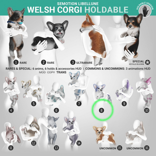 SEmotion Libellune Welsh Corgi Holdable COMMON 08