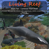 Inochi Reef : Mesh Fish - Caribbean Reef Shark