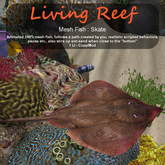 Inochi Reef : Mesh Fish - Skate