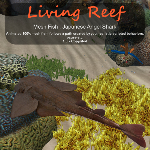 Inochi Reef : Mesh Fish - Japanese Angel Shark
