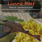 Inochi Reef : Mesh Fish - Japanese Angel Shark