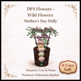 DFS Flowers - Wild Flowers Mother's Day - ACTUAL ITEM
