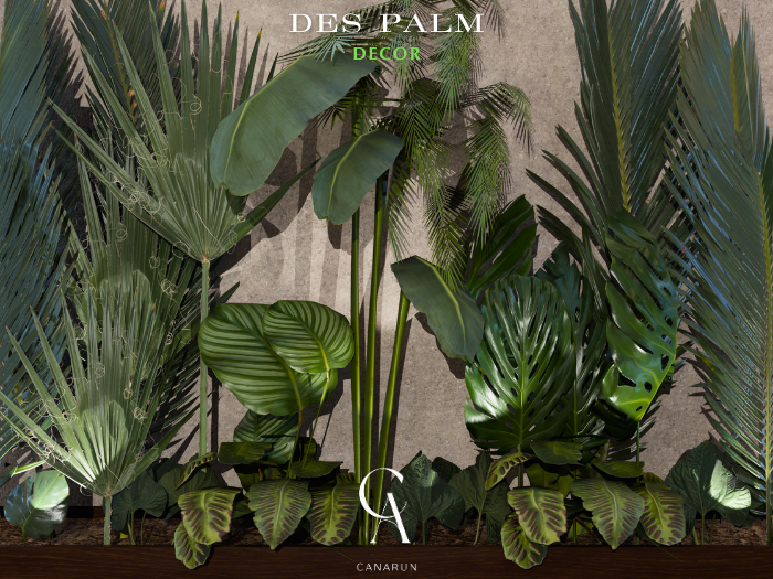Des Palm Decor - CANARUN - (Rezzme)