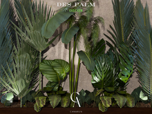 Des Palm Decor - CANARUN - (Rezzme)