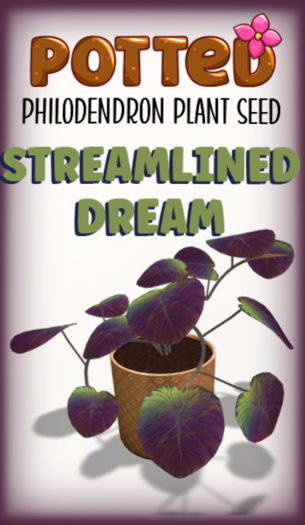 Potted: Philodendron Seed: Streamlined Dream