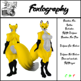 Foxtography Rainbow Fox: Yellow. 