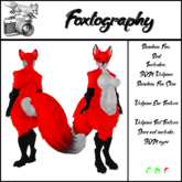 Foxtography Rainbow Fox: Red