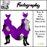 Foxtography Rainbow Fox: Purple 
