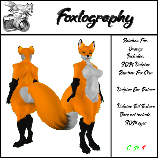Foxtography Rainbow Fox: Orange